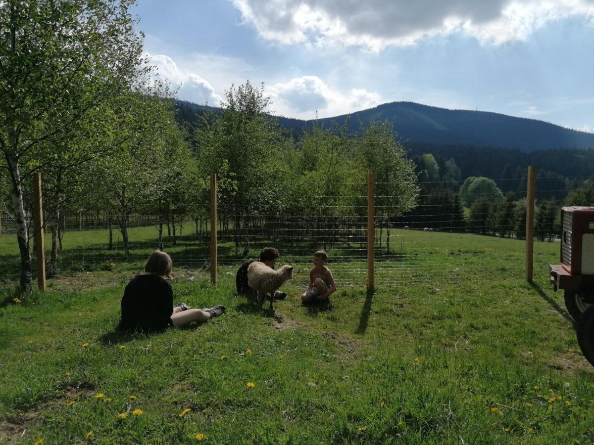 Gosciniec Janowa Gora - Agroturystyka Stronie Śląskie Εξωτερικό φωτογραφία