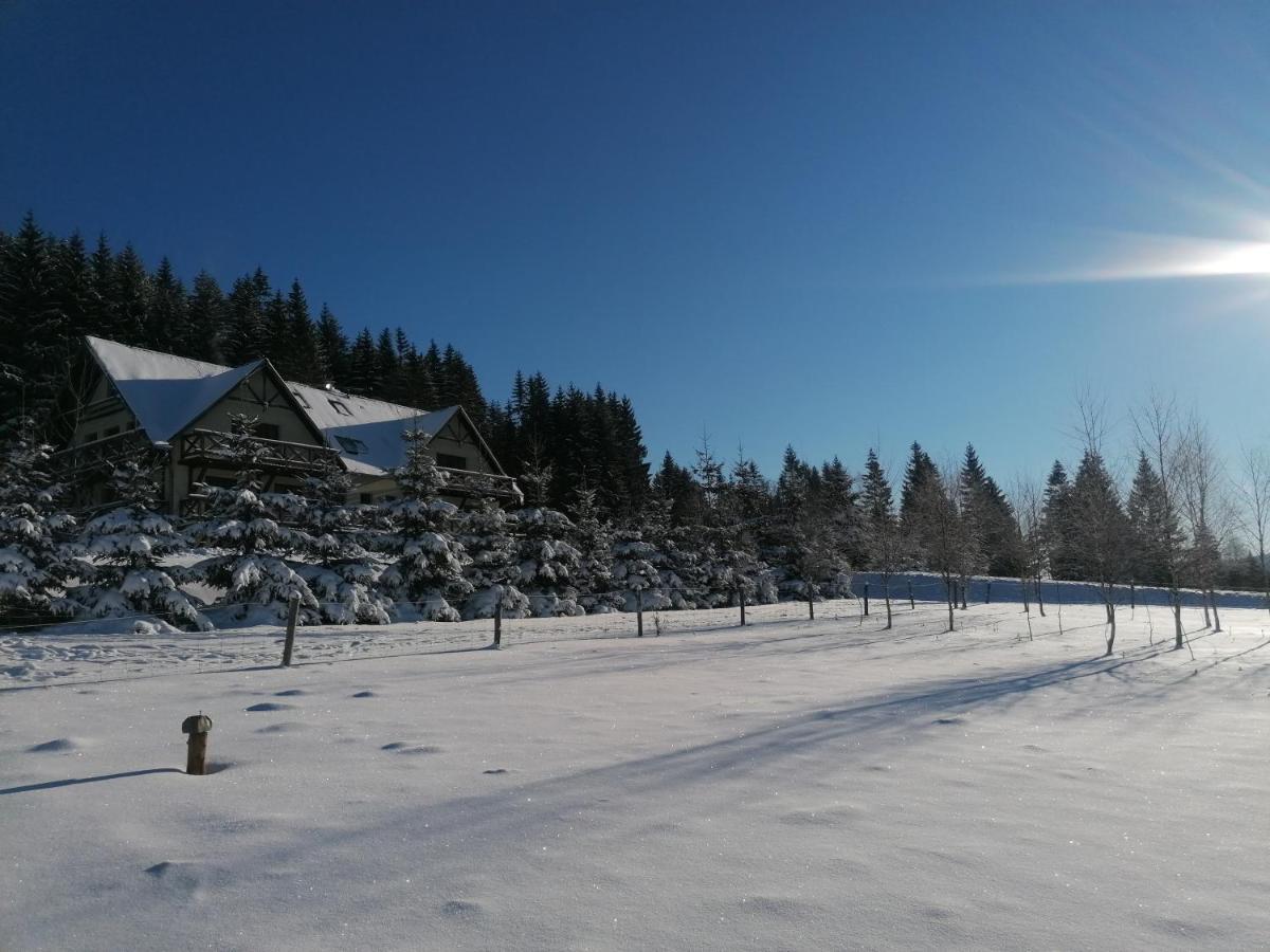 Gosciniec Janowa Gora - Agroturystyka Stronie Śląskie Εξωτερικό φωτογραφία