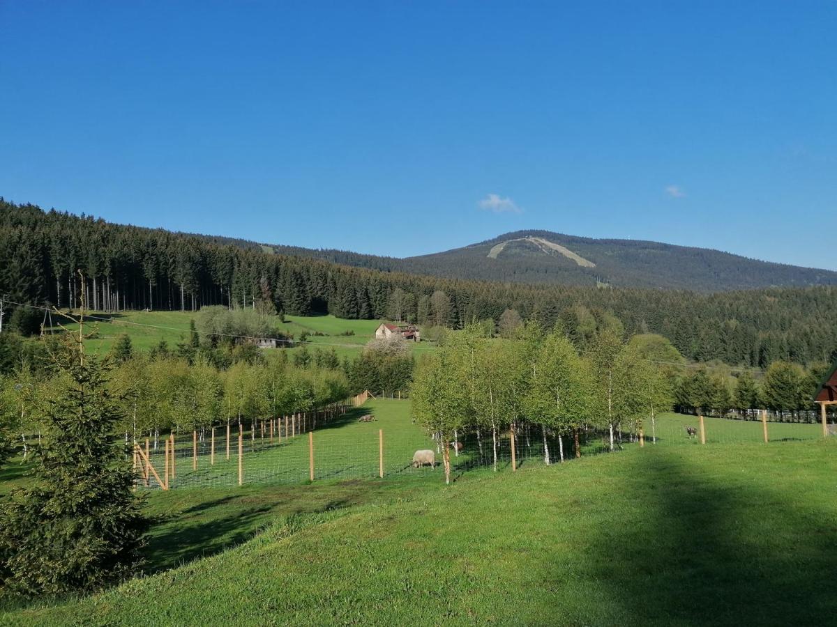 Gosciniec Janowa Gora - Agroturystyka Stronie Śląskie Εξωτερικό φωτογραφία